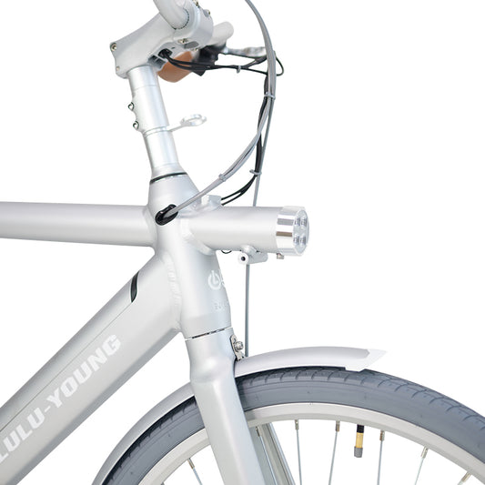 Luluyoung-Ebike T1 Space silver