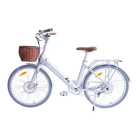 Luluyoung-Ebike T2 silver